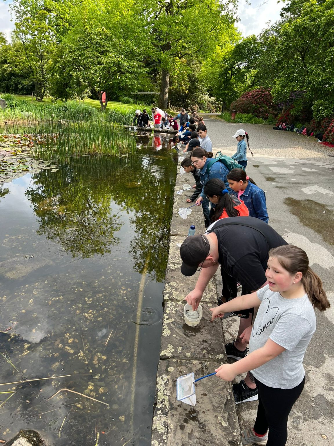 Die 3a erkundet den Lebensraum Teich in der Gruga Schwanenbusch